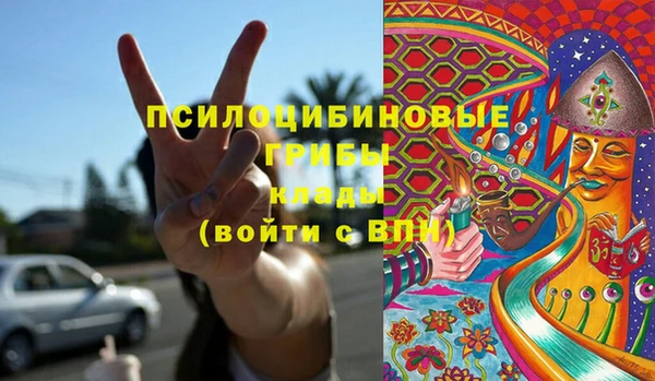 твердый Ладушкин
