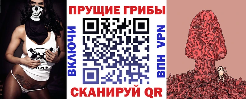 продажа наркотиков  мориарти Telegram  Галлюциногенные грибы MAGIC MUSHROOMS  Луга 