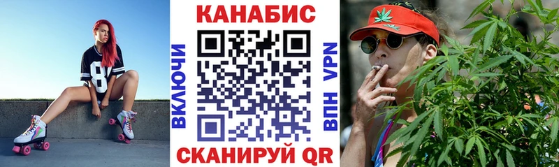 магазин продажи наркотиков  Луга  Бошки Шишки марихуана 
